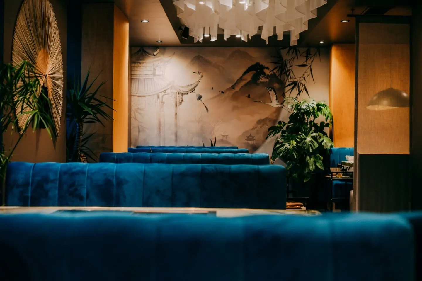 Blå PARIS-sofaer i velur, bygget etter mål i rader langs veggen i en restaurantsal