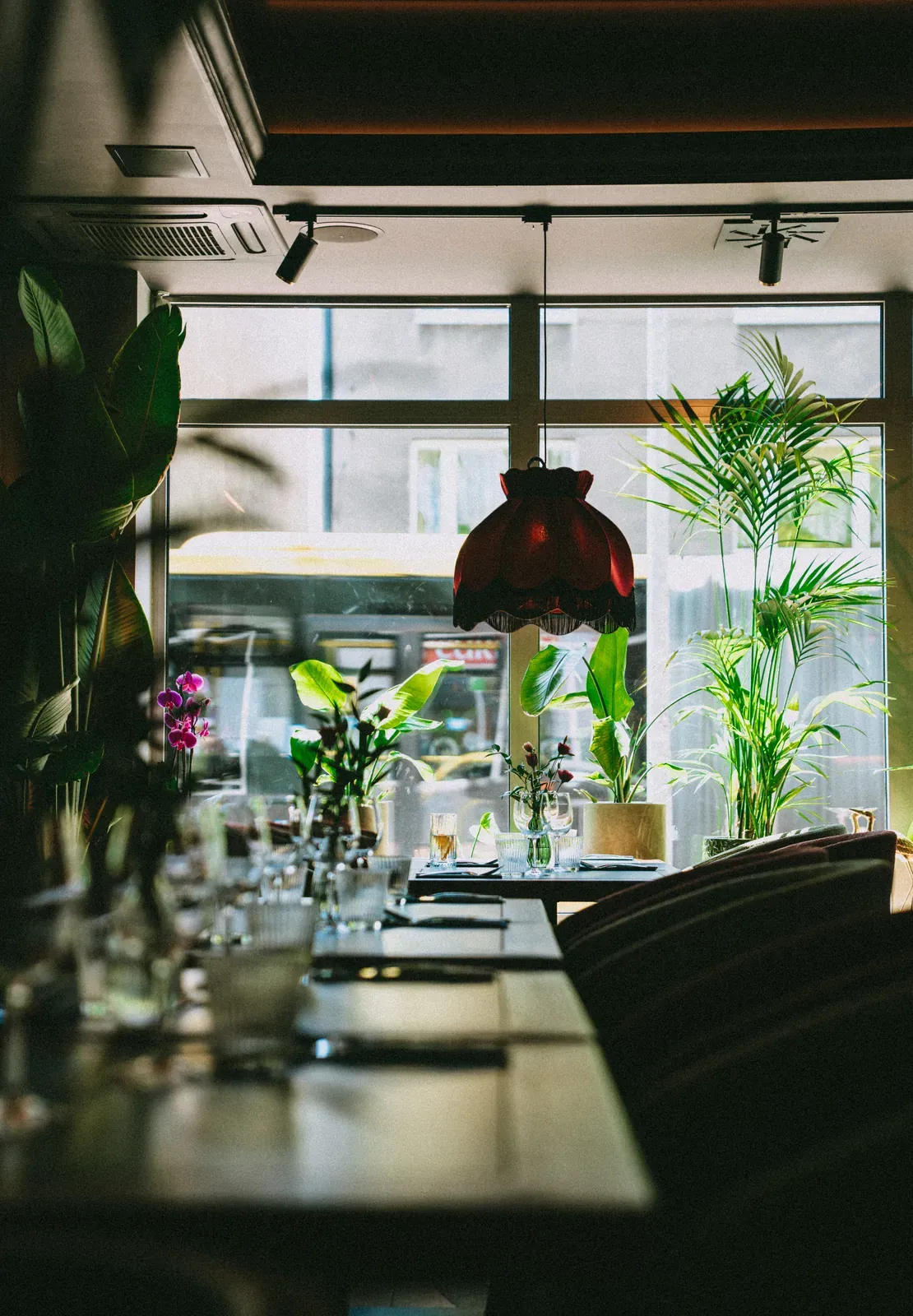 Restbotanica, Katowice 2 av 11
